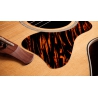 Taylor Gold Label 514e Natural Taylor Gold Label 514e Natural