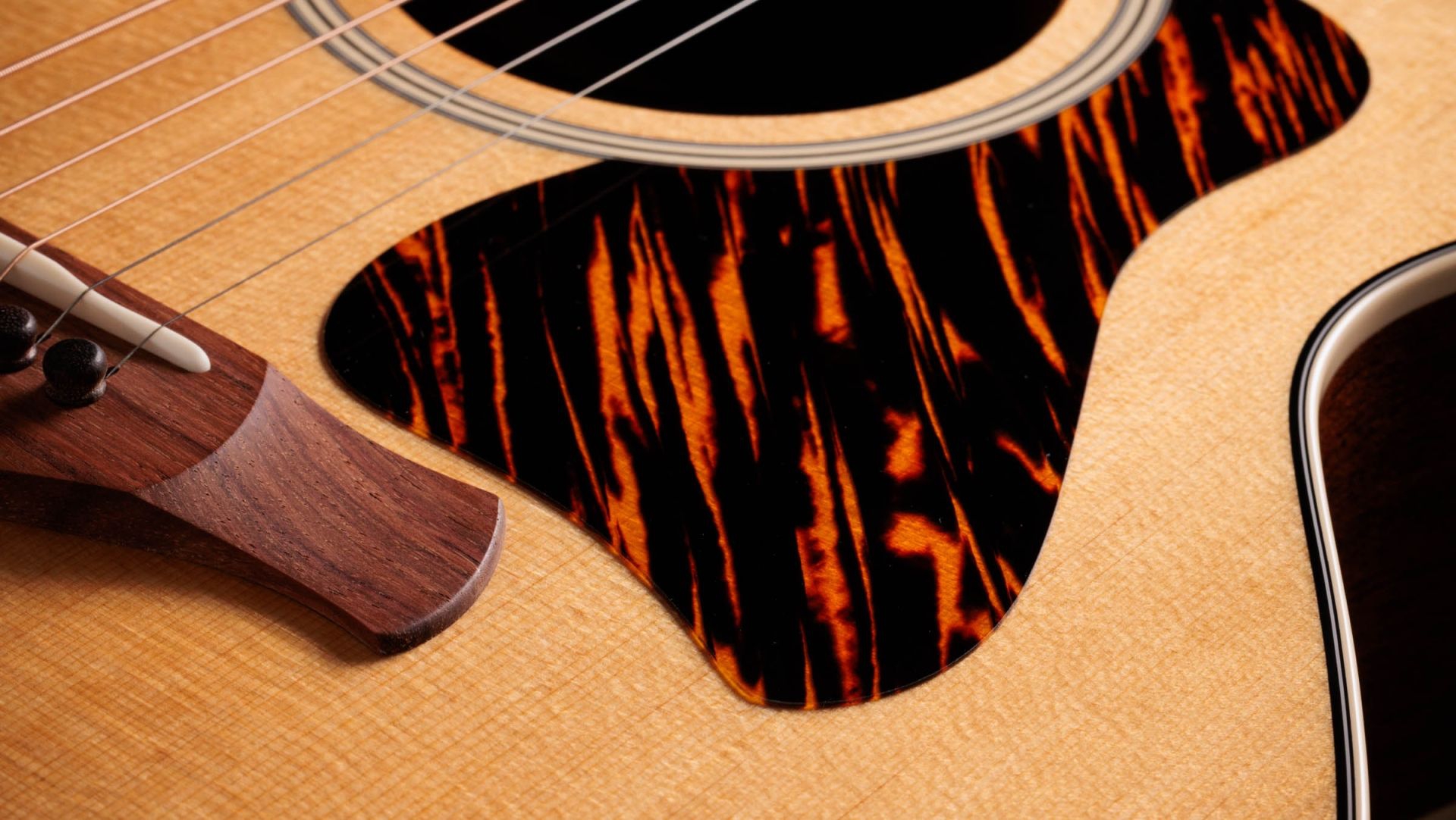 Taylor Gold Label 514e Natural