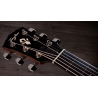 Taylor Gold Label 714e SB Firestripe Taylor Gold Label 714e SB Firestripe