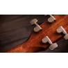 Taylor Gold Label 714e SB Firestripe Taylor Gold Label 714e SB Firestripe