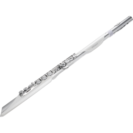 Roland Aerophone Brisa