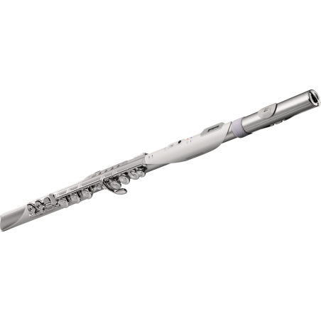 Roland Aerophone Brisa