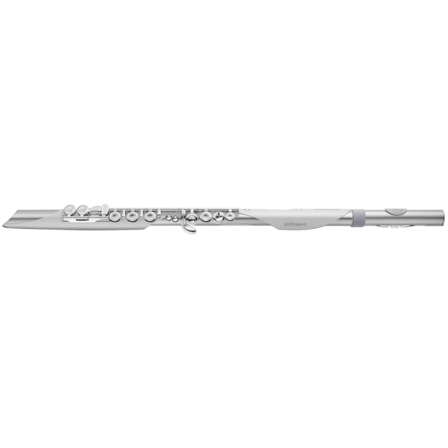 Roland Aerophone Brisa