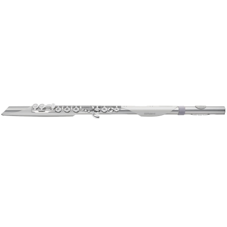Roland Aerophone Brisa