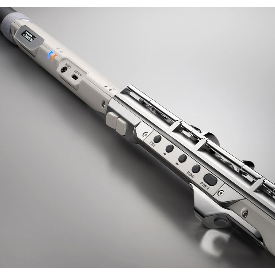 Roland Aerophone Brisa