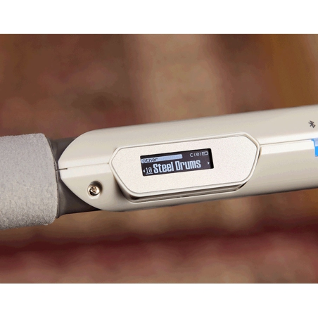 Roland Aerophone Brisa