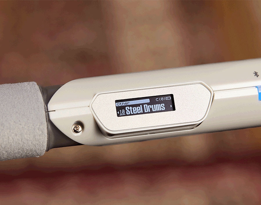 Roland Aerophone Brisa