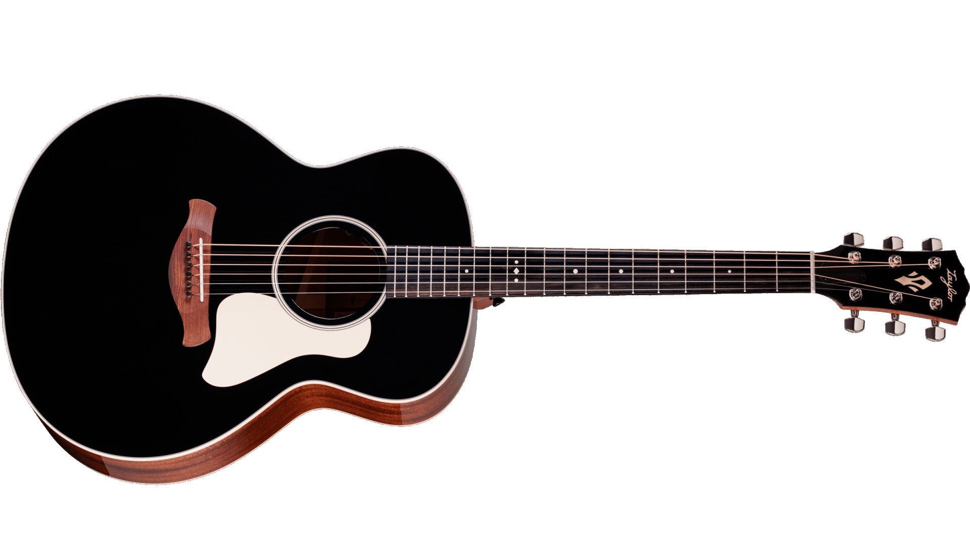Taylor Gold Label 514e Blacktop