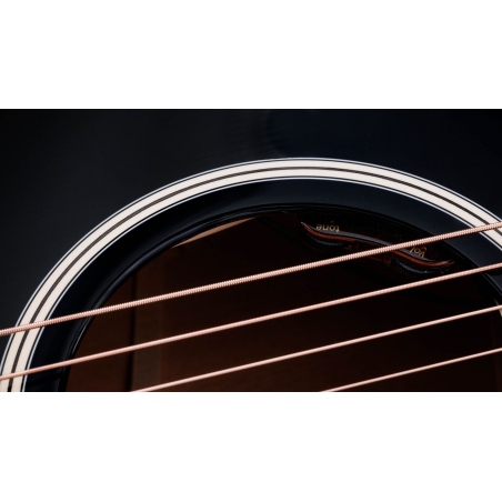 Taylor Gold Label 514e Blacktop