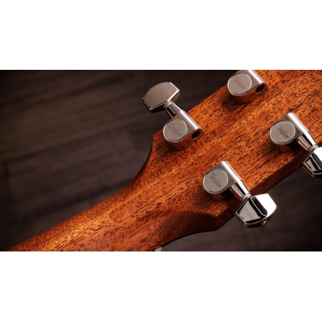 Taylor Gold Label 514e Blacktop