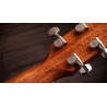 Taylor Gold Label 514e Blacktop Taylor Gold Label 514e Blacktop