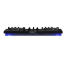 Native Instruments TRAKTOR MX2 Native Instruments TRAKTOR MX2