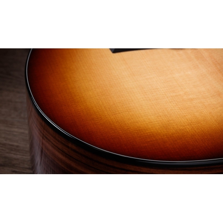 Taylor Sunset Blvd 214ce-N Plus