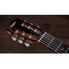 Taylor Sunset Blvd 214ce-N Plus Taylor Sunset Blvd 214ce-N Plus