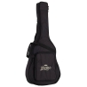 Bromo BAR6 Rocky Mountain Series Parlor All Solid Bromo BAR6 Rocky Mountain Series Parlor All Solid