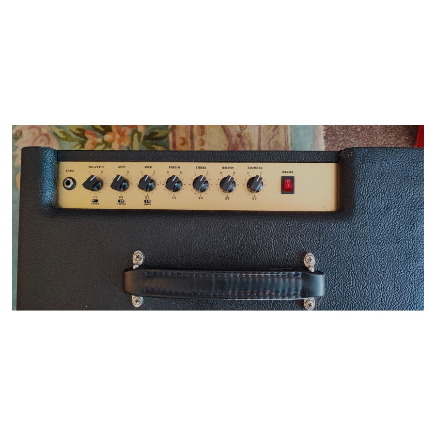 Friedman Runt 20 Combo