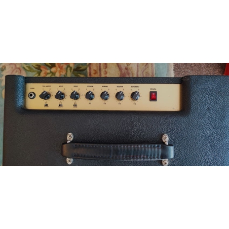 Friedman Runt 20 Combo