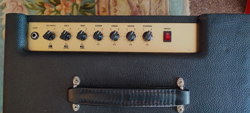 Friedman Runt 20 Combo