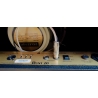 Friedman Runt 20 Combo Friedman Runt 20 Combo