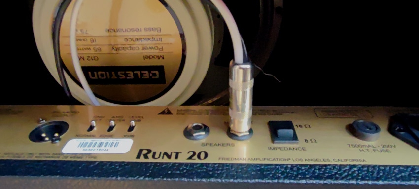 Friedman Runt 20 Combo
