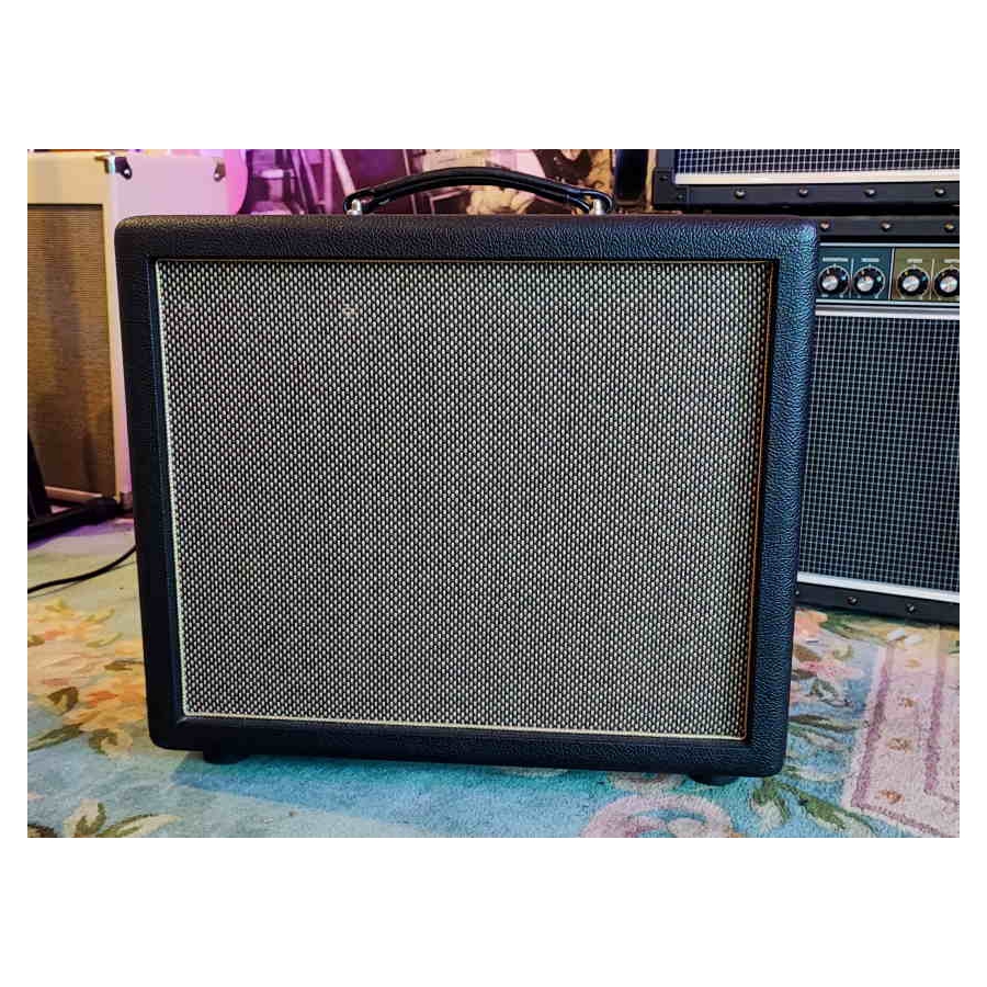Friedman Runt 20 Combo