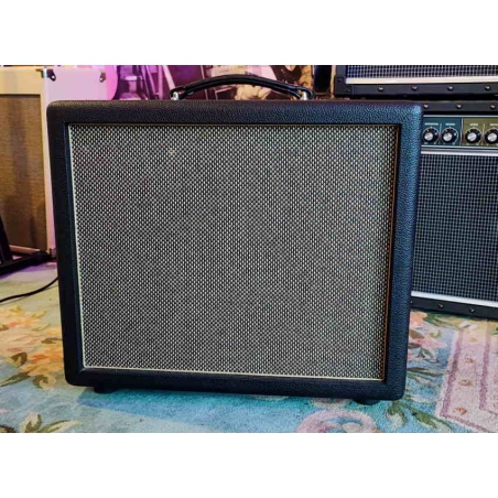 Friedman Runt 20 Combo