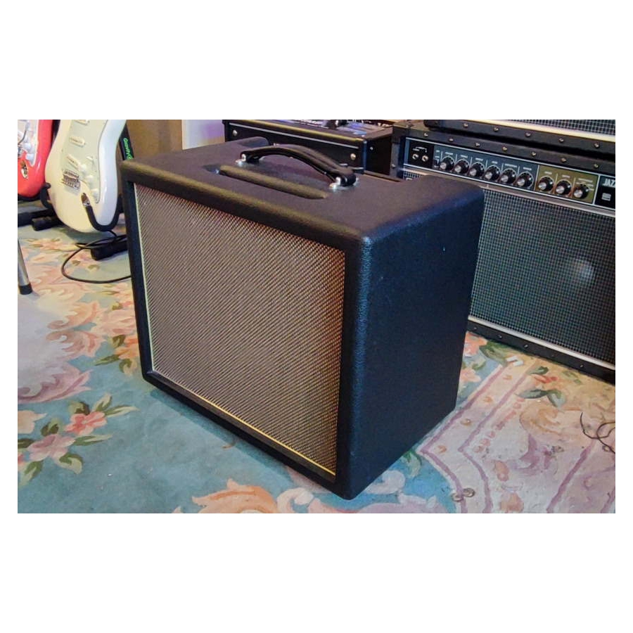 Friedman Runt 20 Combo