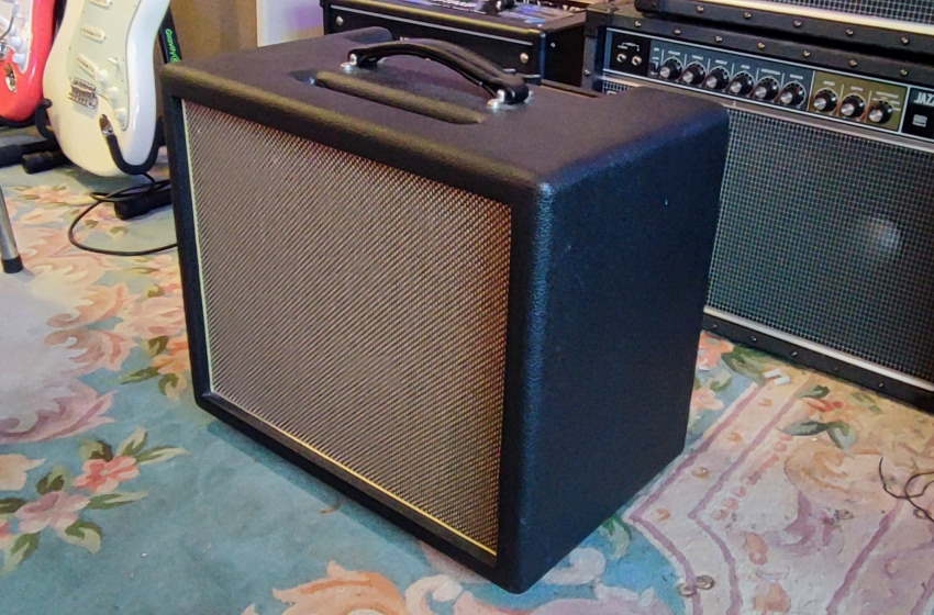 Friedman Runt 20 Combo