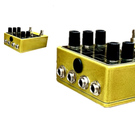 FORMULA B Edge Echo Verb