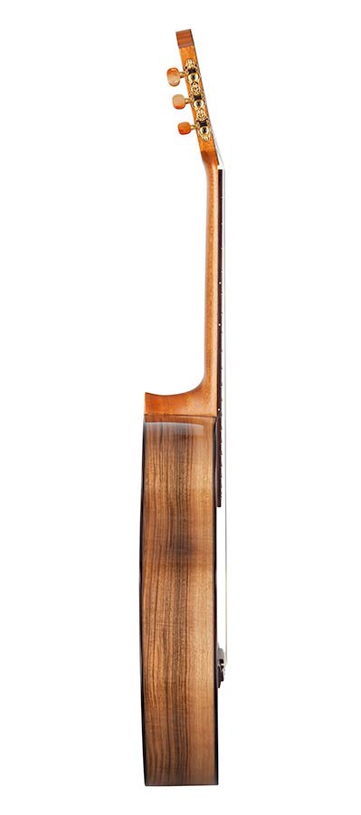 Kremona Rondo RS All Solid Series