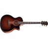 Taylor 324ce Baritone-6 LTD Taylor 324ce Baritone-6 LTD