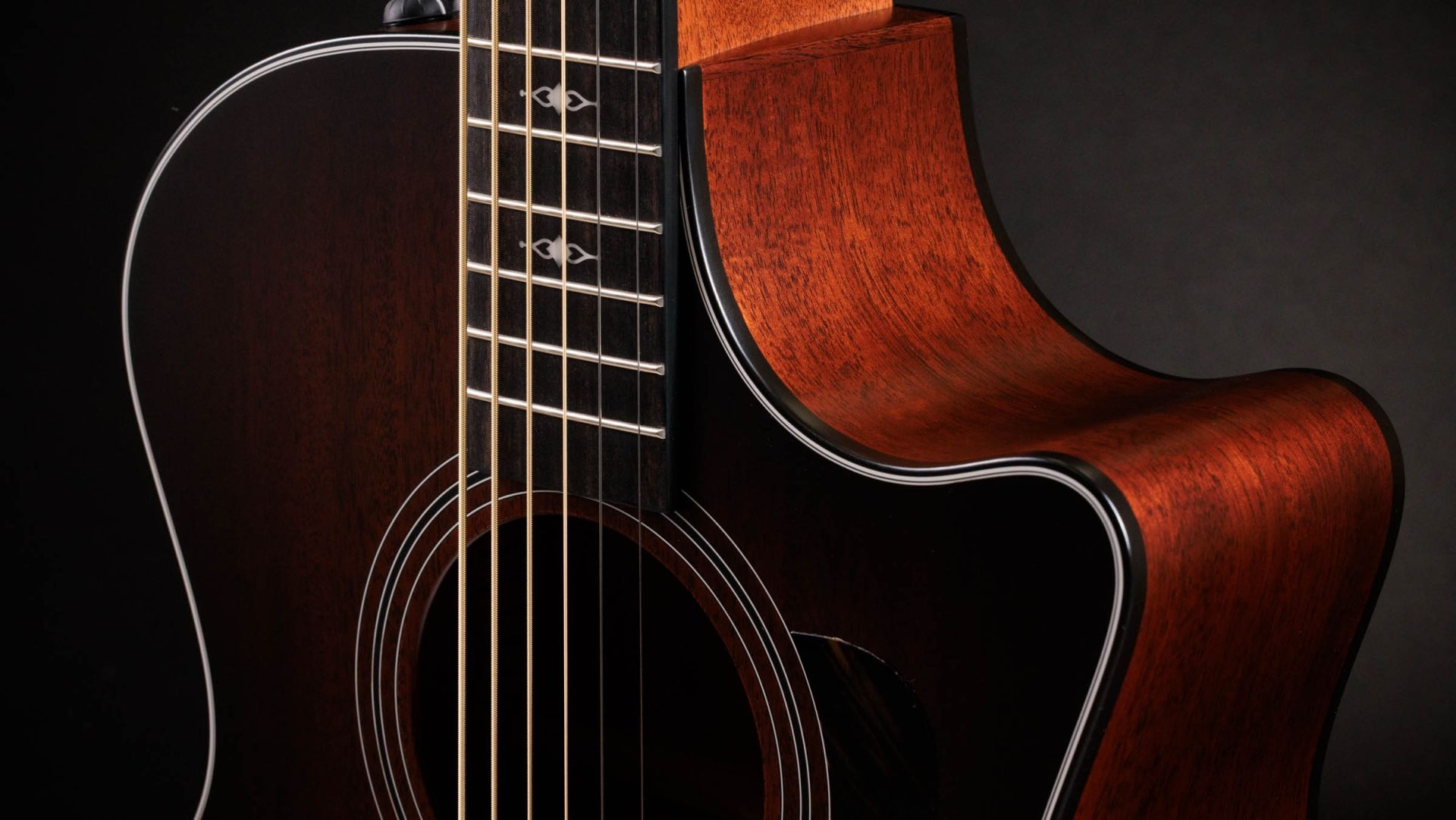 Taylor 324ce Baritone-6 LTD