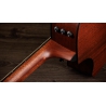 Taylor 324ce Baritone-6 LTD Taylor 324ce Baritone-6 LTD