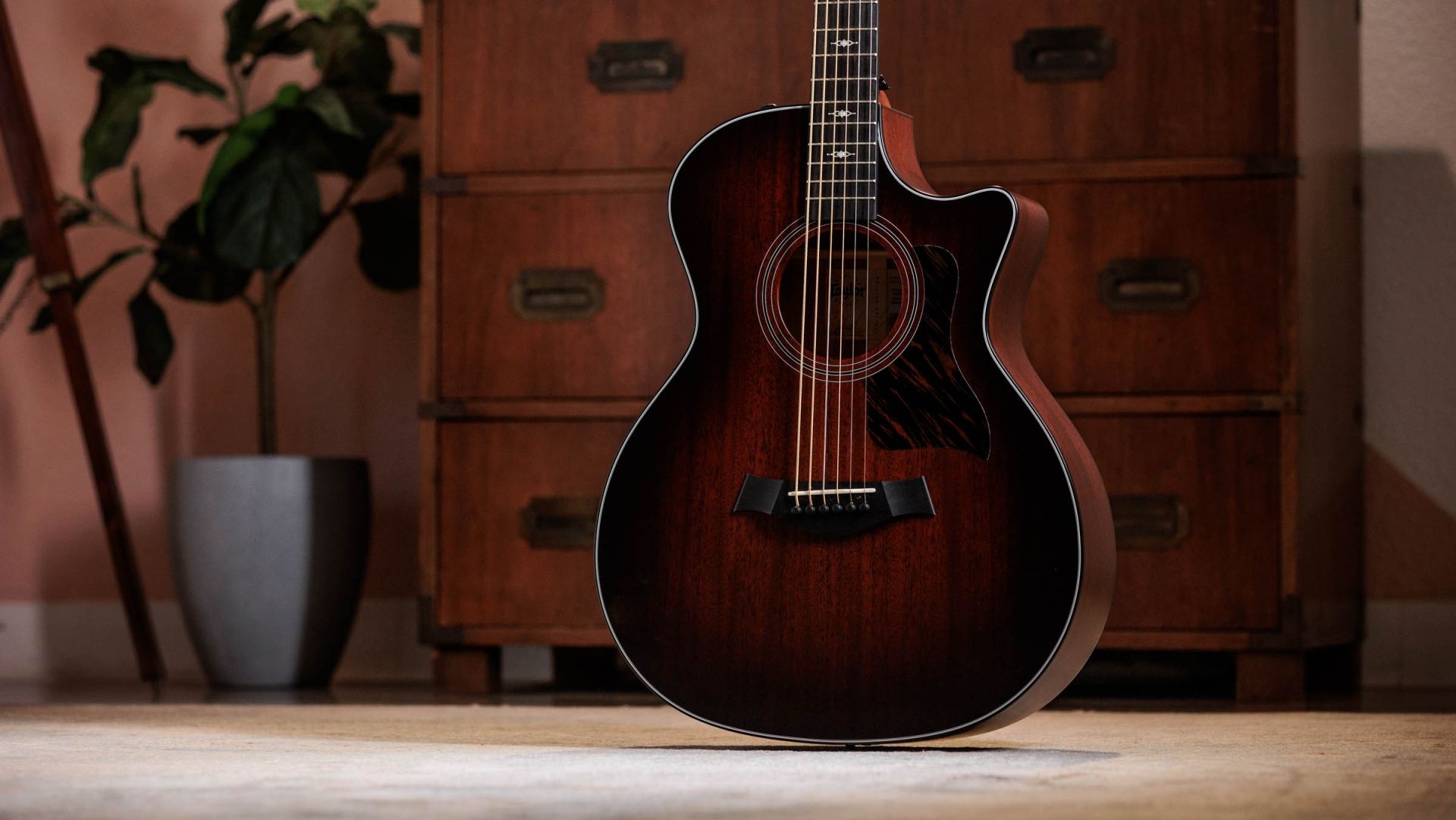 Taylor 324ce Baritone-6 LTD