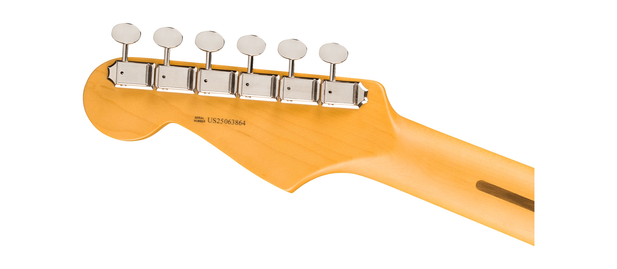 Fender American Pro Classic Stratocaster HSS MN FBLK | DijkmanMuziek