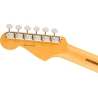 Fender American Professional Classic Stratocaster RW FSGM Fender American Professional Classic Stratocaster RW FSGM