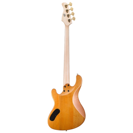Cort Rithimic Jeff Berlin 4