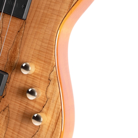 Cort Rithimic Jeff Berlin 4