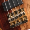 Cort Rithimic Jeff Berlin 4 Cort Rithimic Jeff Berlin 4