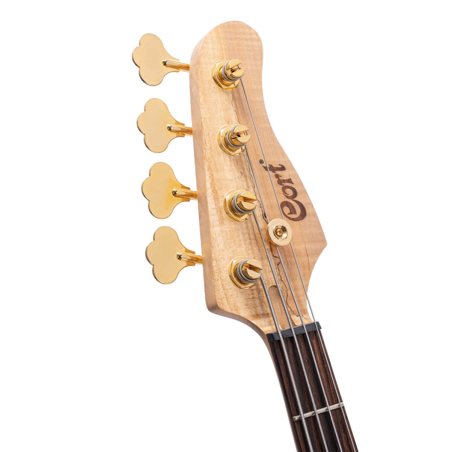 Cort Rithimic Jeff Berlin 4 Cort Rithimic Jeff Berlin 4