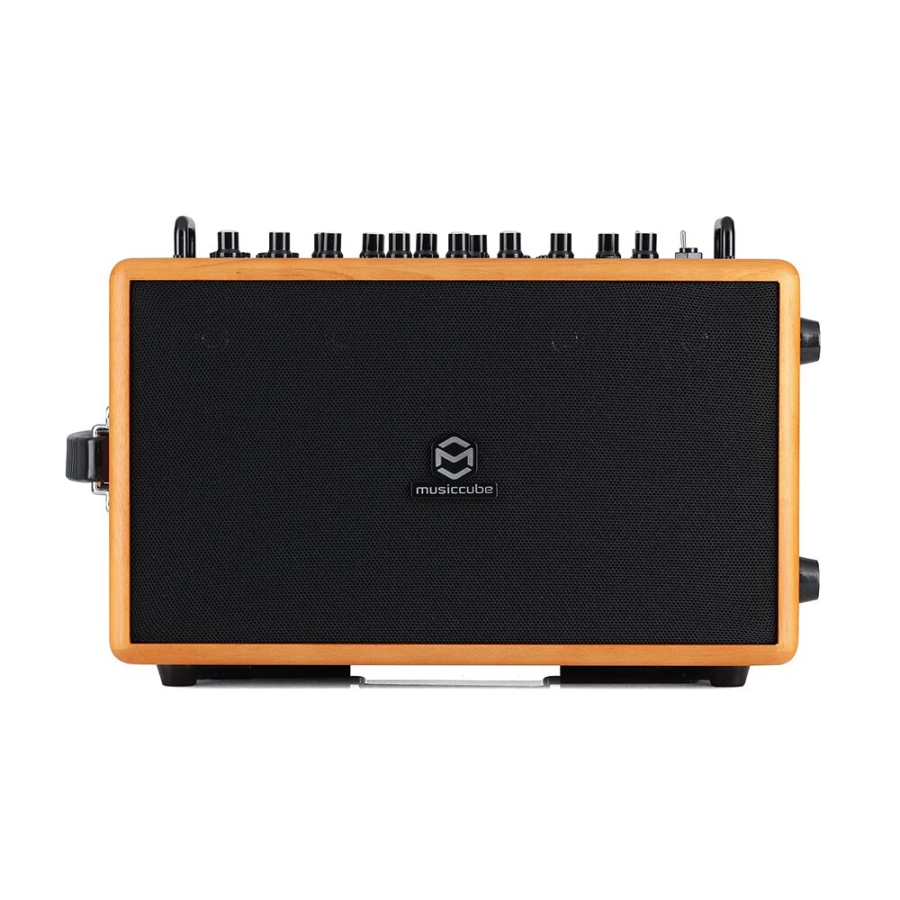 MUSICCUBE MA90 PRO Oak Wood MUSICCUBE MA90 PRO Oak Wood