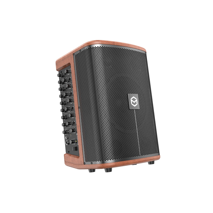 MUSICCUBE T3 II Brown