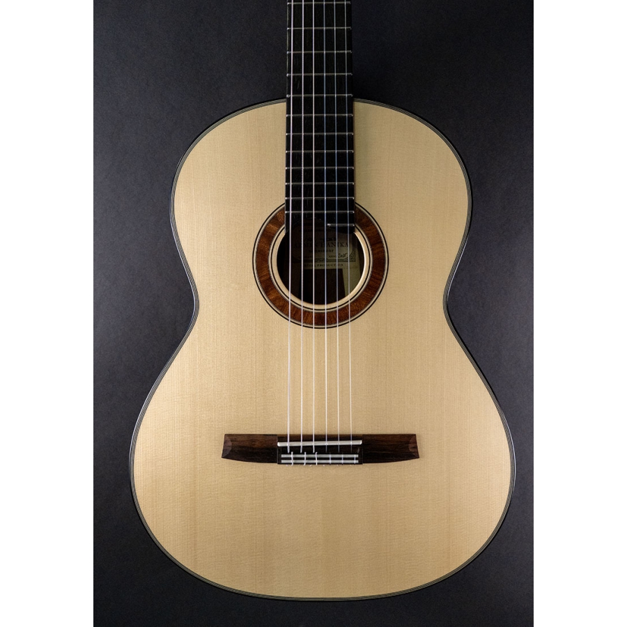 Hanika Guitar Summit special model