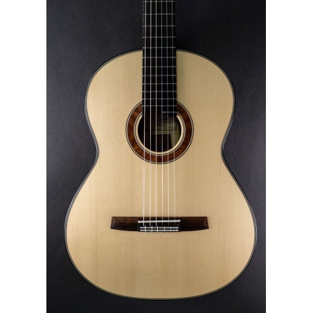 Hanika Guitar Summit special model