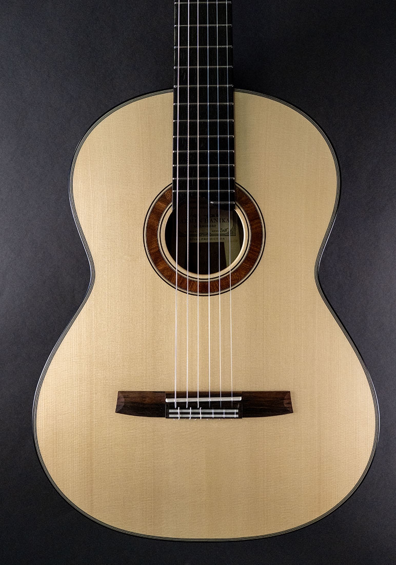 Hanika Guitar Summit special model Hanika Guitar Summit special model