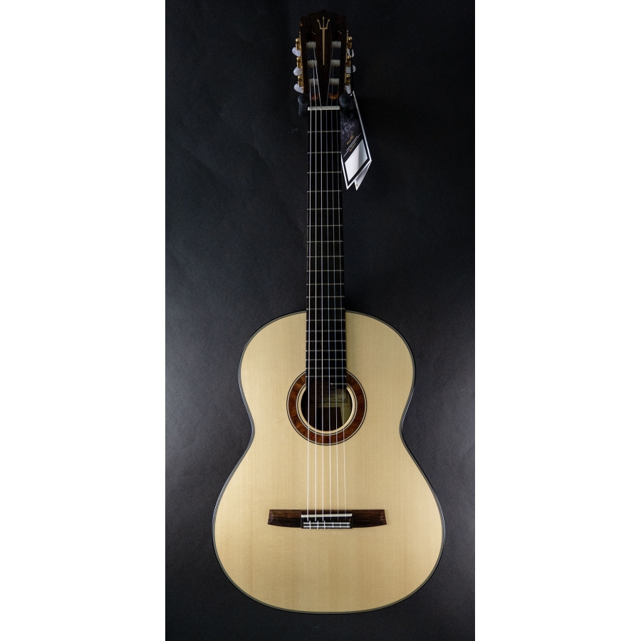 Hanika Guitar Summit special model Hanika Guitar Summit special model