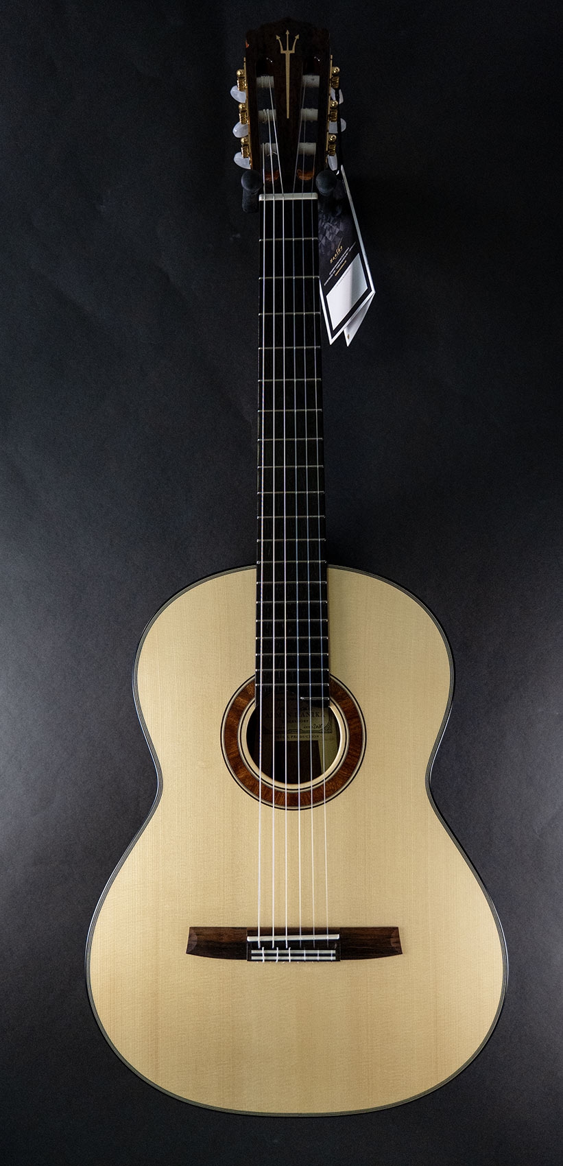 Hanika Guitar Summit special model Hanika Guitar Summit special model