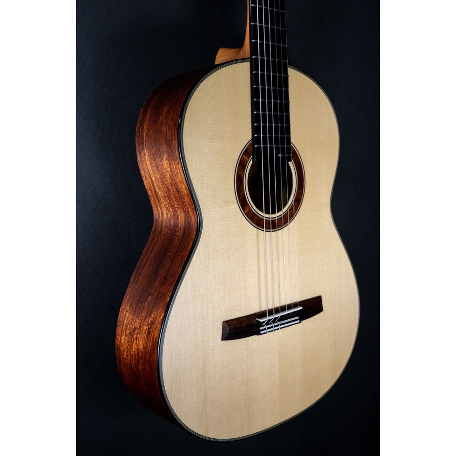 Hanika Guitar Summit special model Hanika Guitar Summit special model