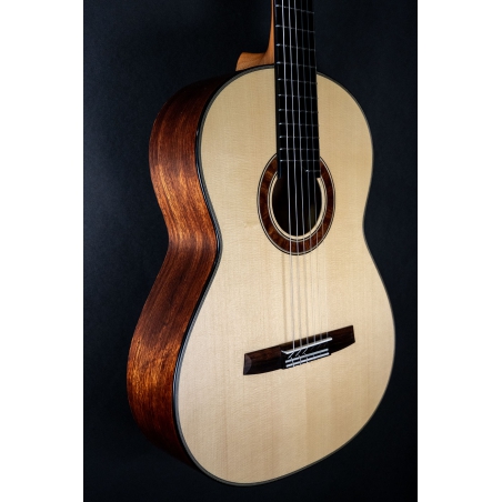 Hanika Guitar Summit special model