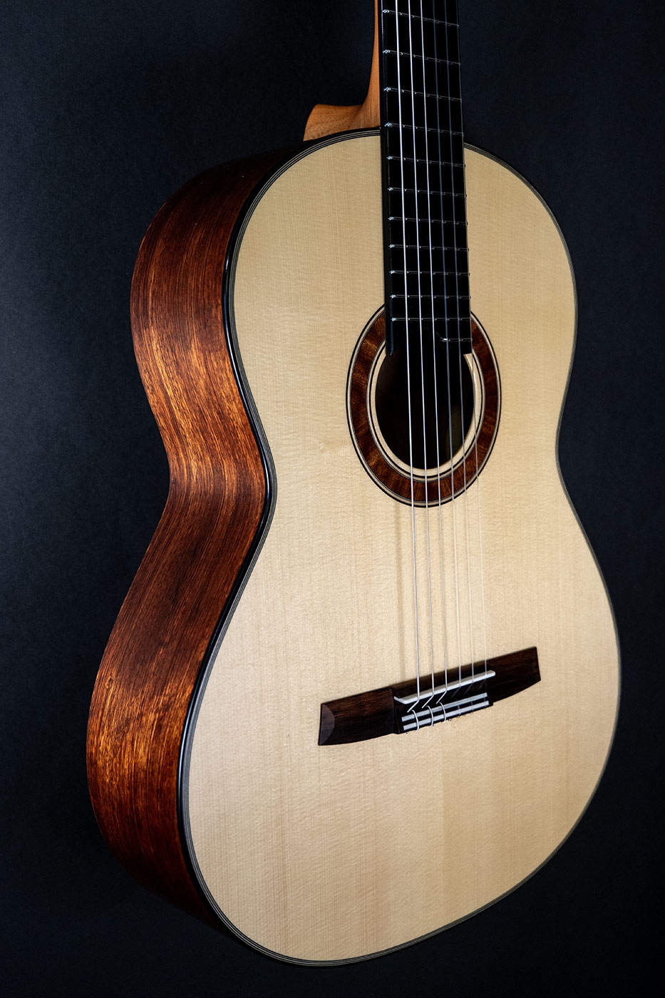 Hanika Guitar Summit special model Hanika Guitar Summit special model